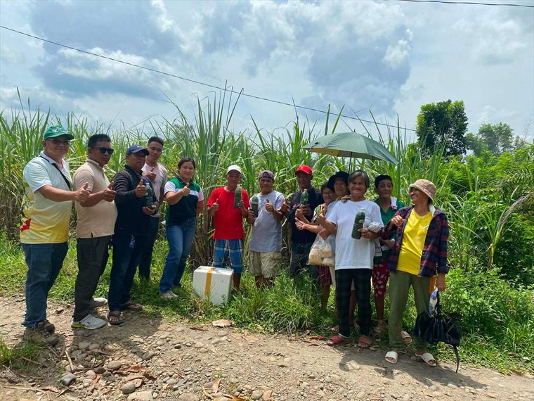 Farmers and agricultural staff standing beside a block of sugarcane, holding bottles of the treatment.
