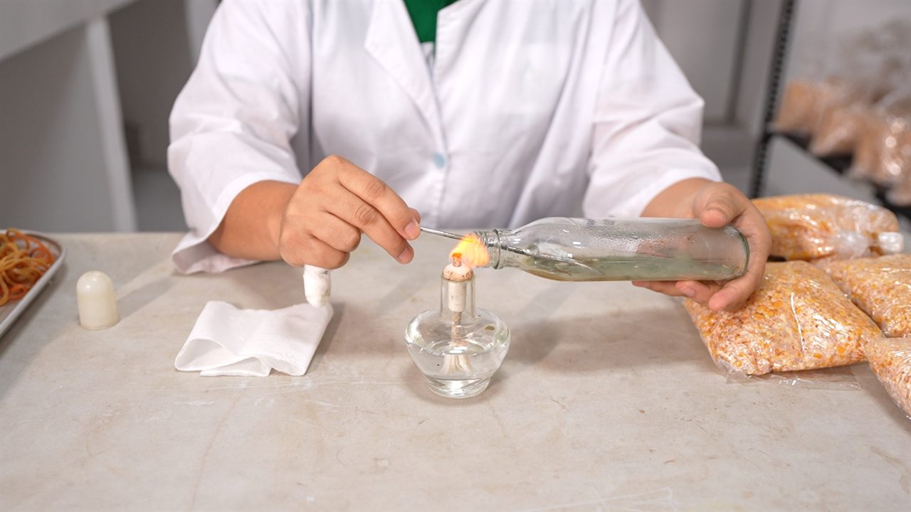 A technician in a laboratory coat sealing a culture bottle over an open flame.