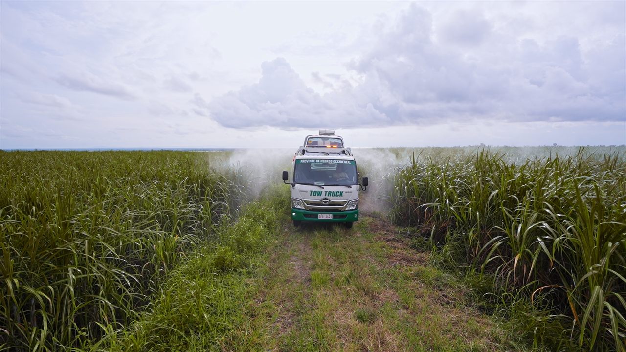 A provincial sprayer truck working down a track between two blocks of sugarcane.